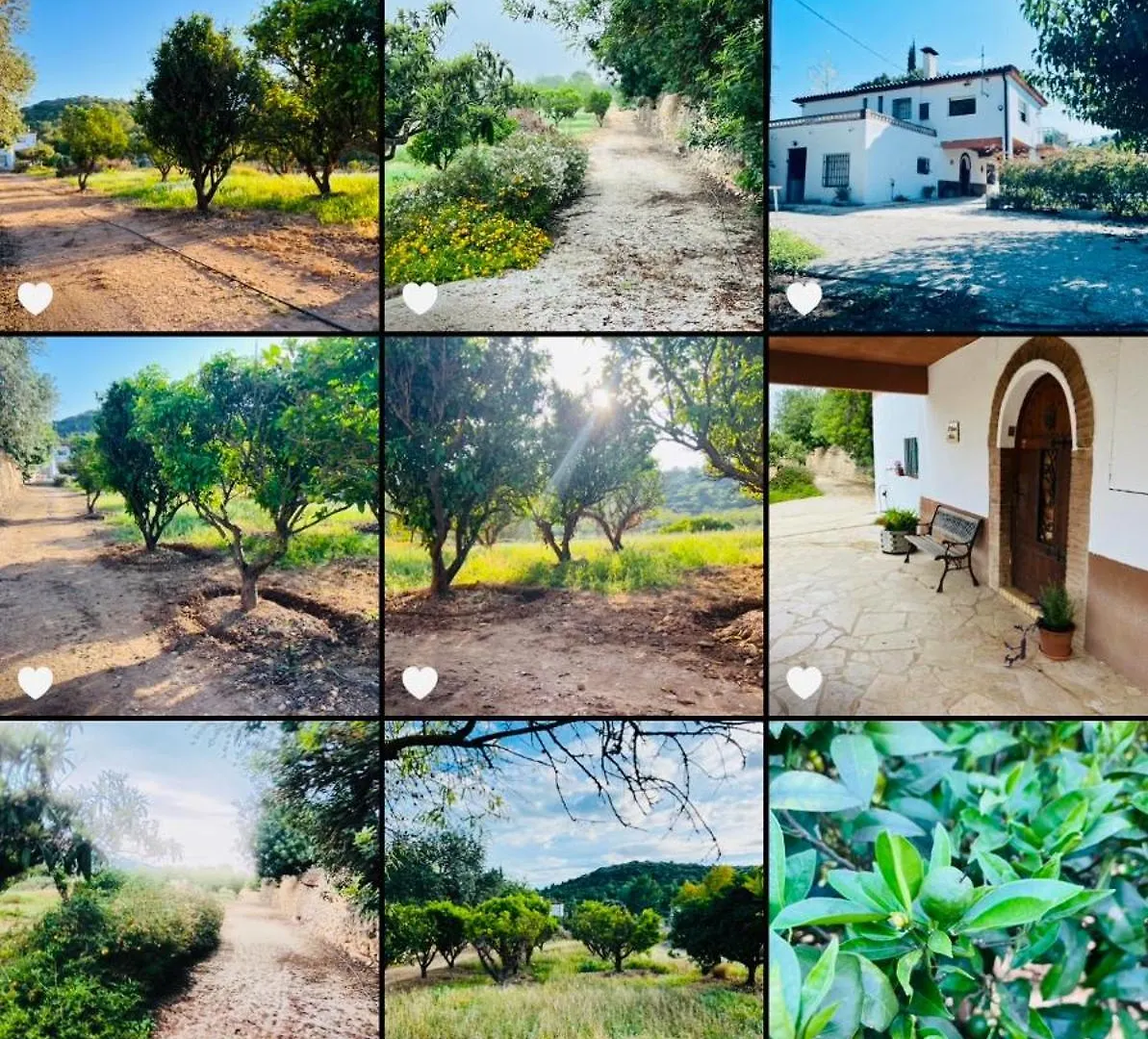 Country House Godall La Galera Espagne